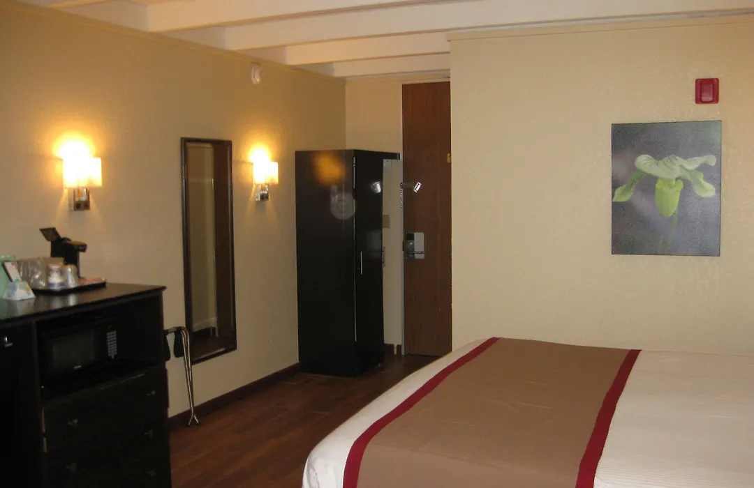 Best Western Orlando West-1
